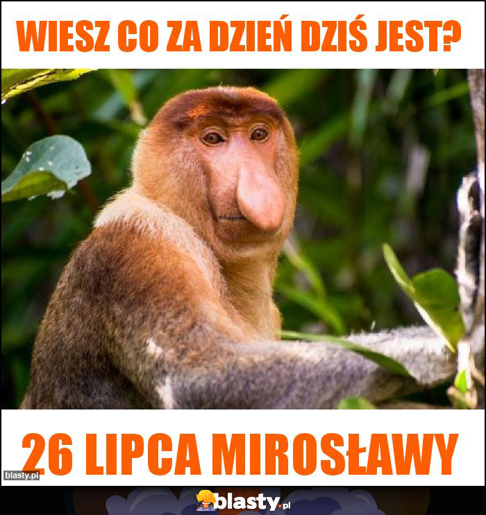 wiesz co za dzień dziś jest? wiesz co za dzień dziś jest?
