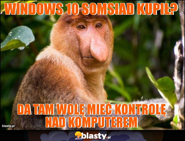Windows 10 somsiad kupił? Windows 10 somsiad kupił?