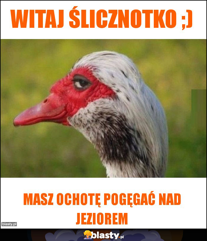 Witaj Ślicznotko ;) Witaj Ślicznotko ;)