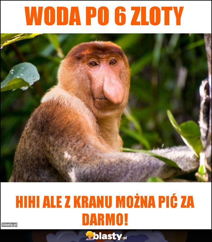 Woda po 6 zloty Woda po 6 zloty