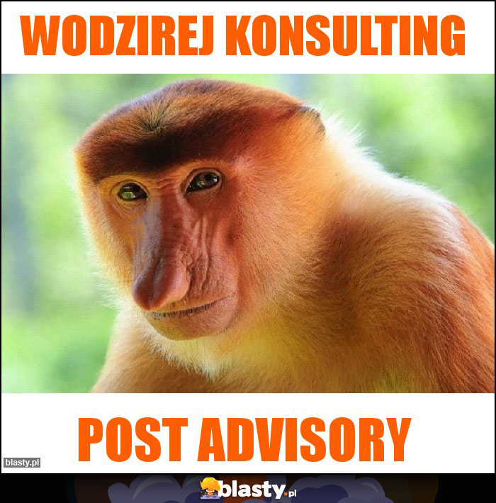 Wodzirej konsulting Wodzirej konsulting