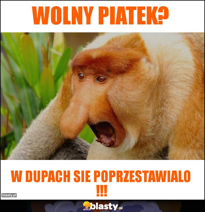 Wolny piatek? Wolny piatek?