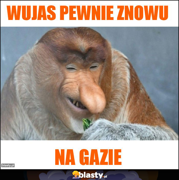 Wujas pewnie znowu Wujas pewnie znowu