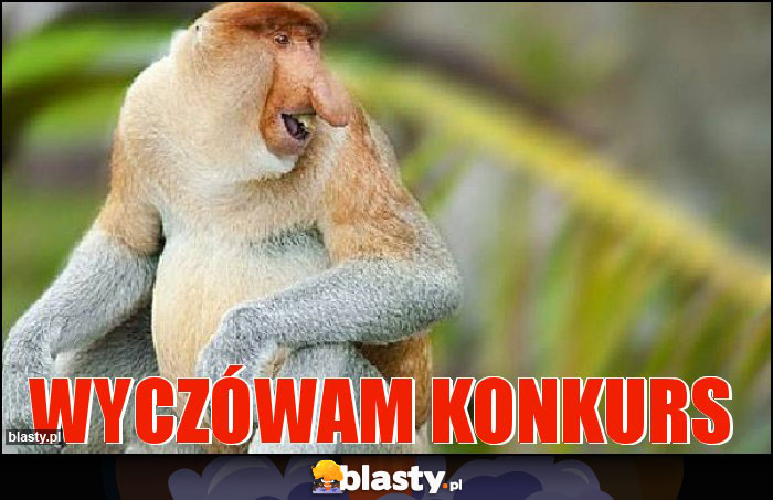 WyczÓwam Konkurs WyczÓwam Konkurs