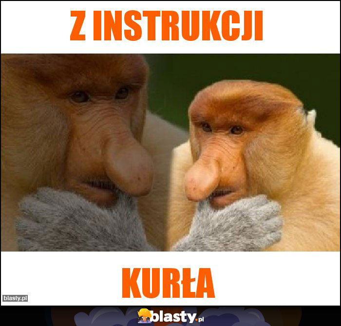 Z instrukcji Z instrukcji