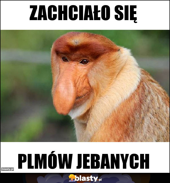 Zachciało się Zachciało się