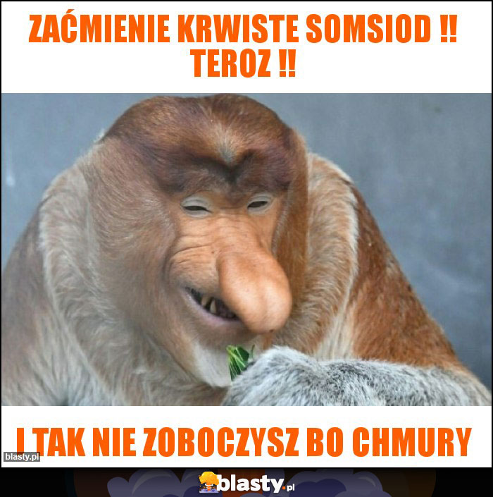 ZAĆMIENIE KRWISTE SOMSIOD !! TEROZ !! ZAĆMIENIE KRWISTE SOMSIOD !! TEROZ !!