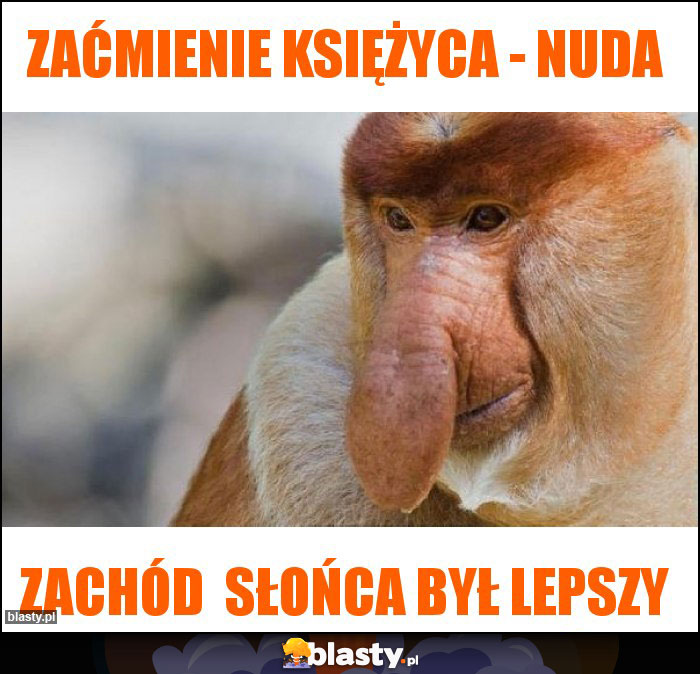 zaćmienie księżyca - nuda zaćmienie księżyca - nuda