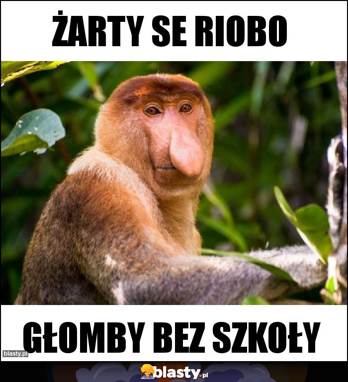 Żarty SE RIOBO Żarty SE RIOBO