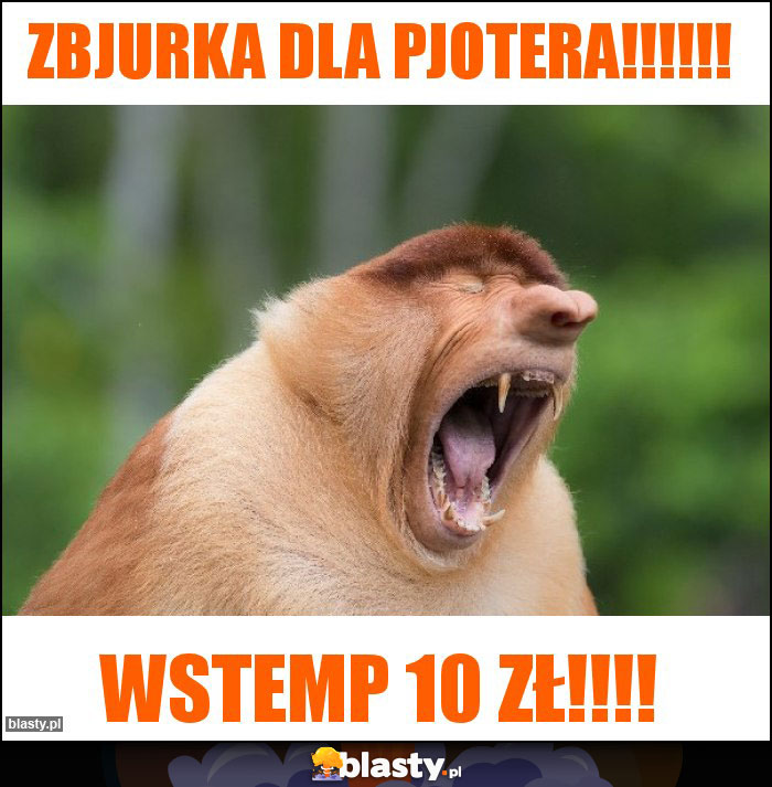 Zbjurka dla pjotera!!!!!! Zbjurka dla pjotera!!!!!!