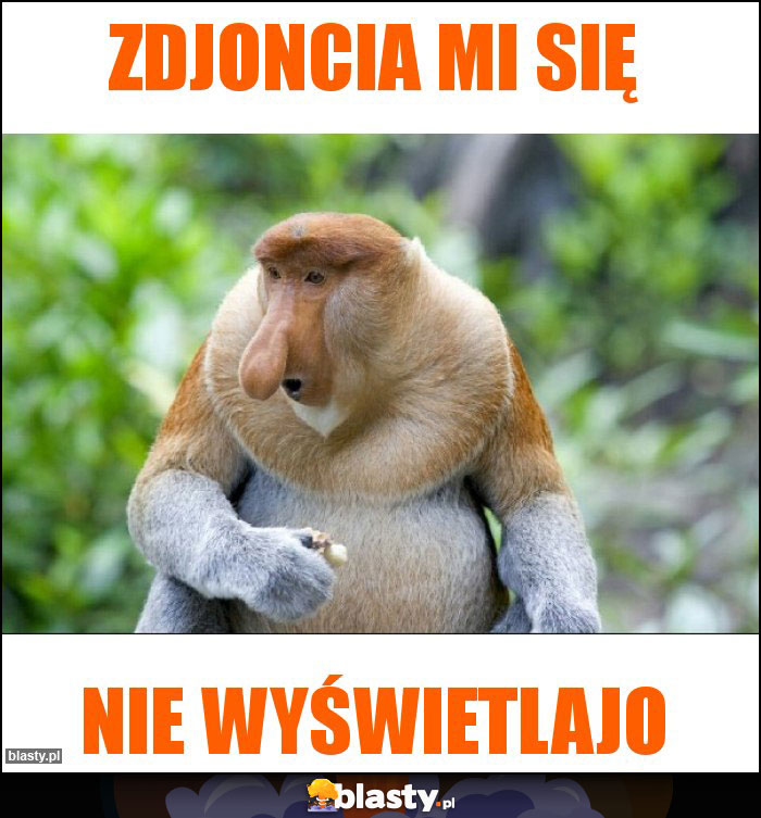 zdjoncia mi się zdjoncia mi się
