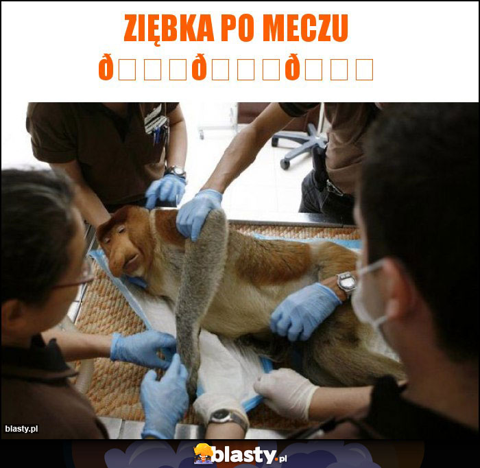 Ziębka po meczu Ziębka po meczu