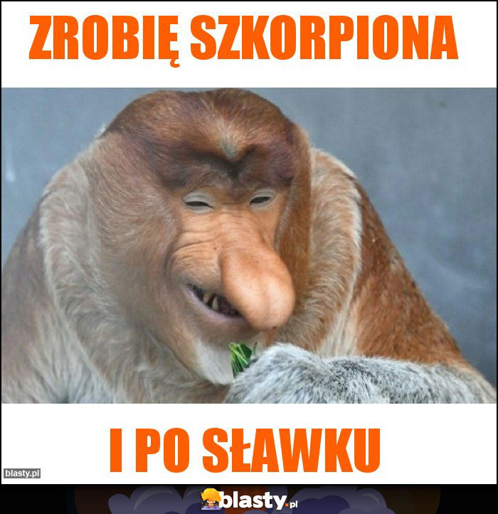 Zrobię szkorpiona Zrobię szkorpiona