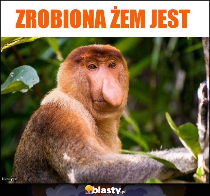 Zrobiona żem jest Zrobiona żem jest