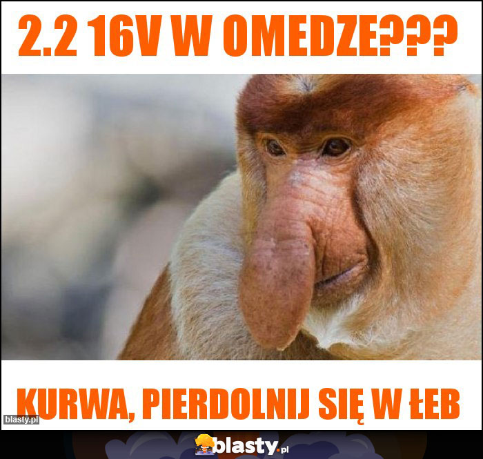 2.2 16V w omedze??? 2.2 16V w omedze???