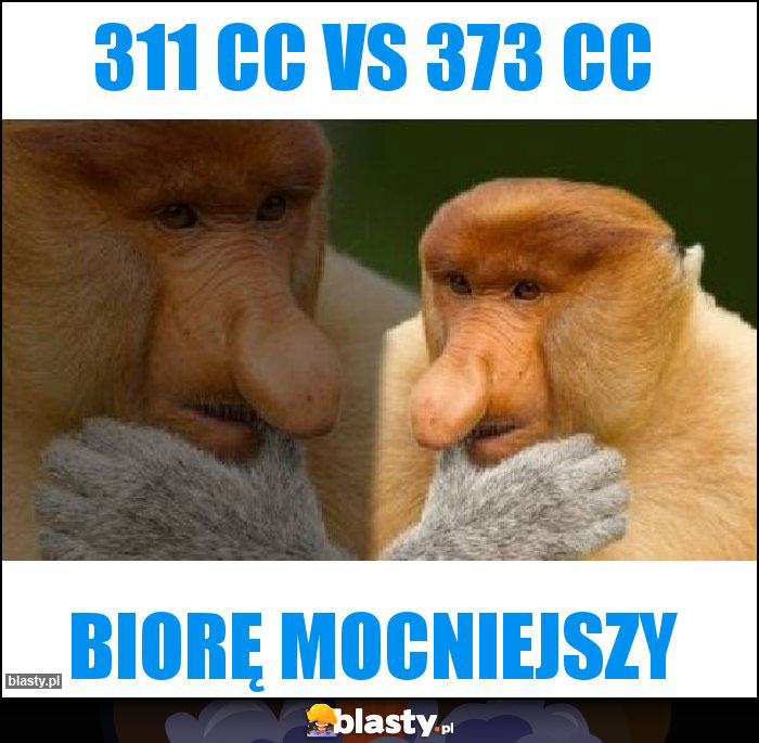 311 cc vs 373 cc 311 cc vs 373 cc