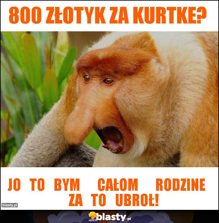 800 złotyk za kurtke? 800 złotyk za kurtke?