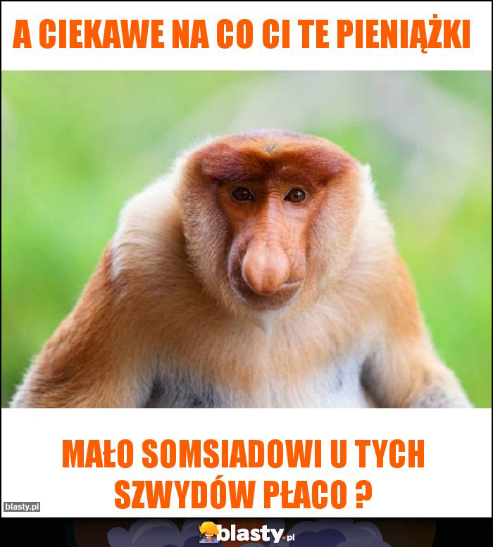A ciekawe na co Ci te pieniążki A ciekawe na co Ci te pieniążki