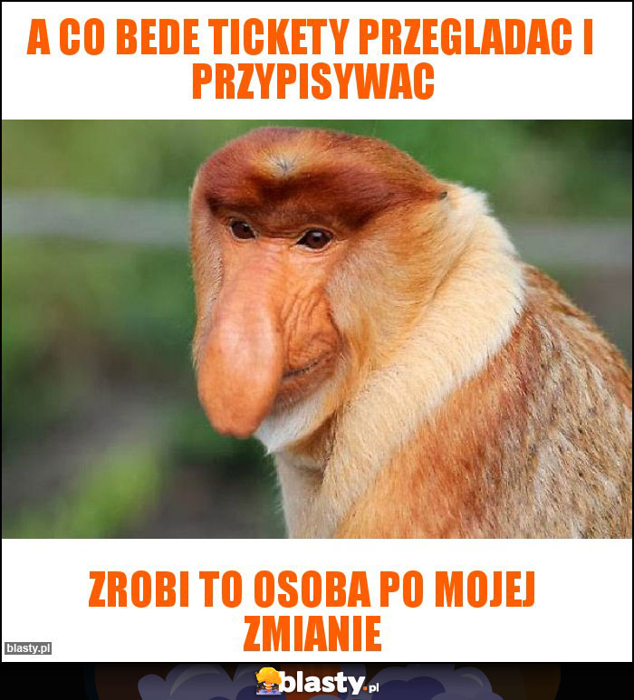 A co bede tickety przegladac i przypisywac A co bede tickety przegladac i przypisywac