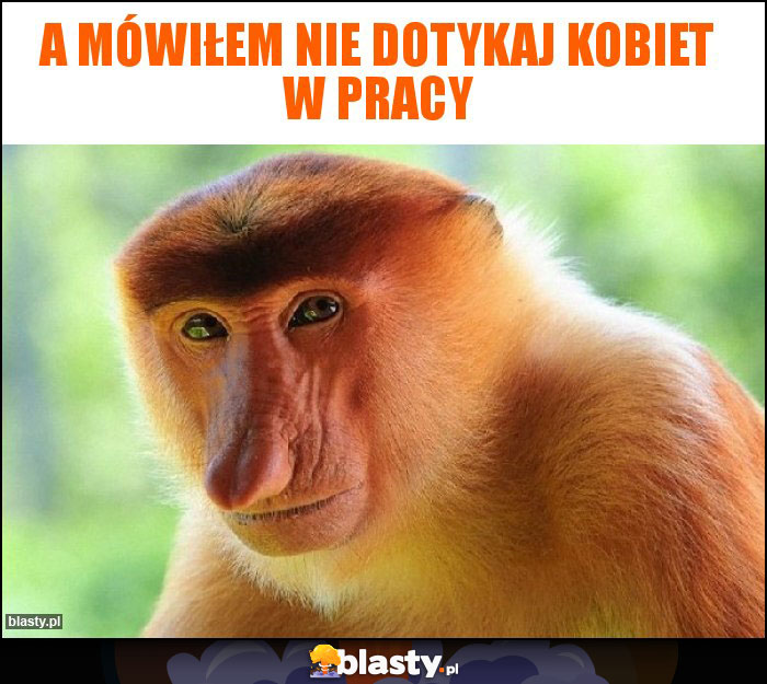 A mówiłem nie dotykaj kobiet w pracy A mówiłem nie dotykaj kobiet w pracy