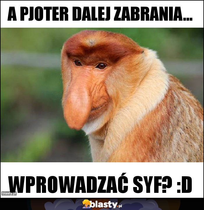A Pjoter dalej zabrania...