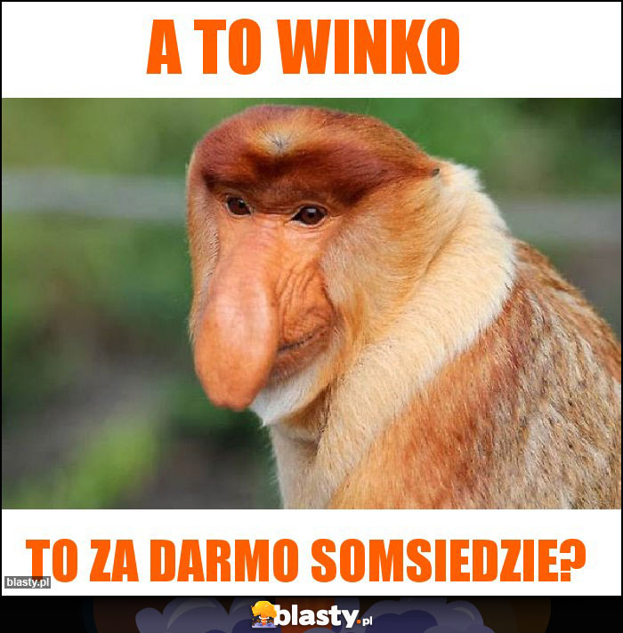 A to winko