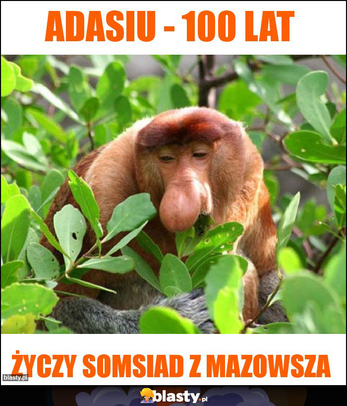 Adasiu - 100 lat Adasiu - 100 lat
