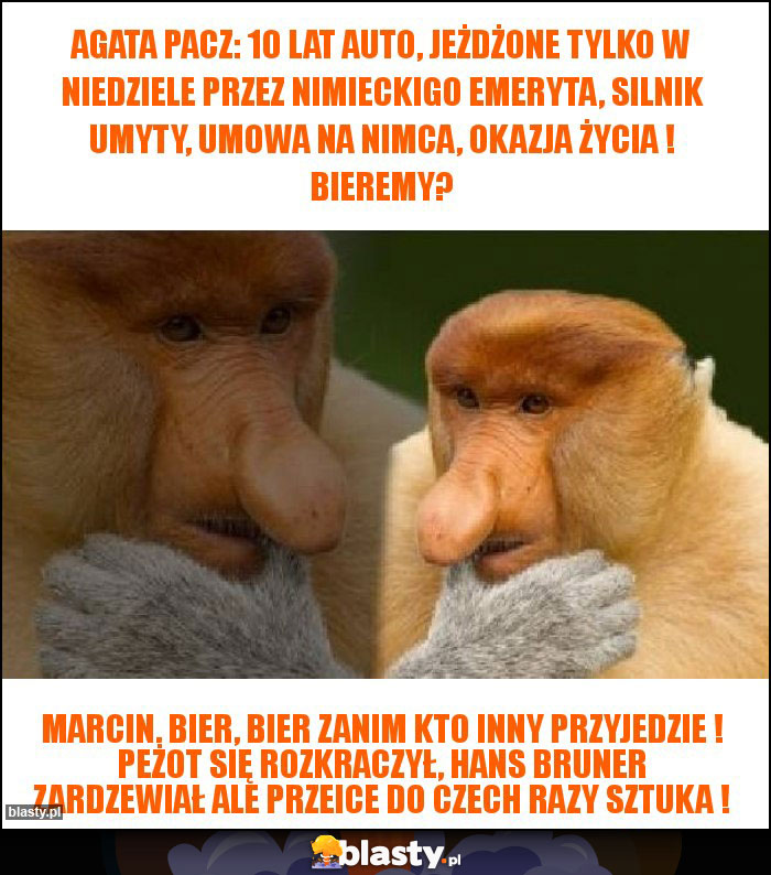 Agata pacz: 10 lat auto, jeżdżone tylko w niedziele przez nimieckigo emeryta, silnik umyty, umowa na nimca, okazja życia ! bieremy? Agata pacz: 10 lat auto, jeżdżone tylko w niedziele przez nimieckigo emeryta, silnik umyty, umowa na nimca, okazja życia ! bieremy?
