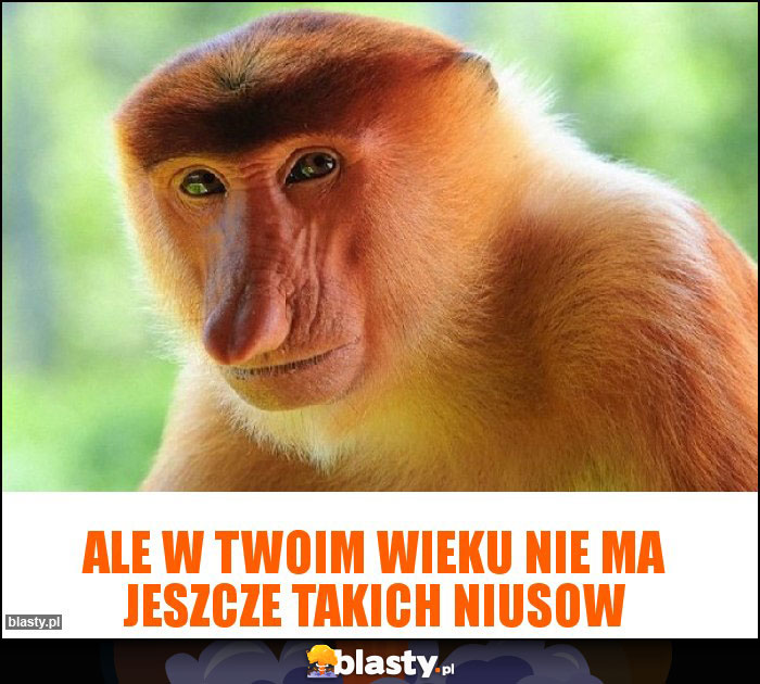 Ale w twoim wieku nie ma jeszcze takich niusow Ale w twoim wieku nie ma jeszcze takich niusow