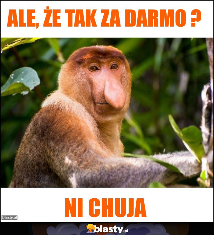 Ale, że tak za darmo ?