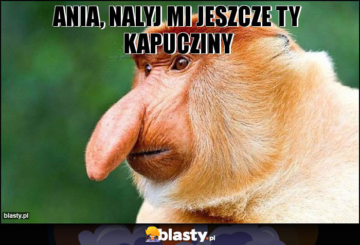 ania, nalyj mi jeszcze ty kapucziny ania, nalyj mi jeszcze ty kapucziny