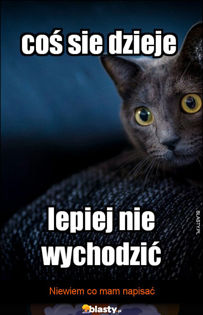 Bać się czy nie Bać się czy nie
