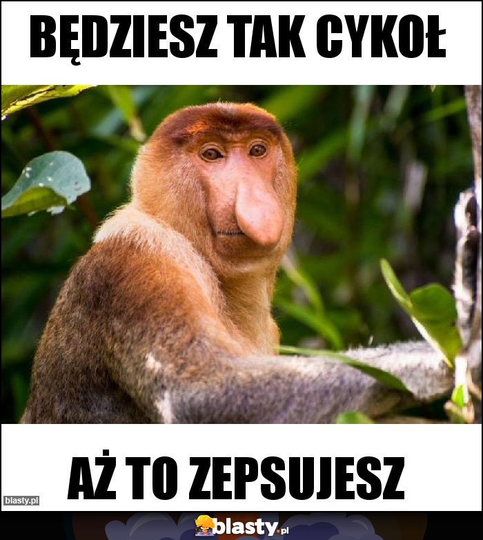 Będziesz tak cykoł Będziesz tak cykoł