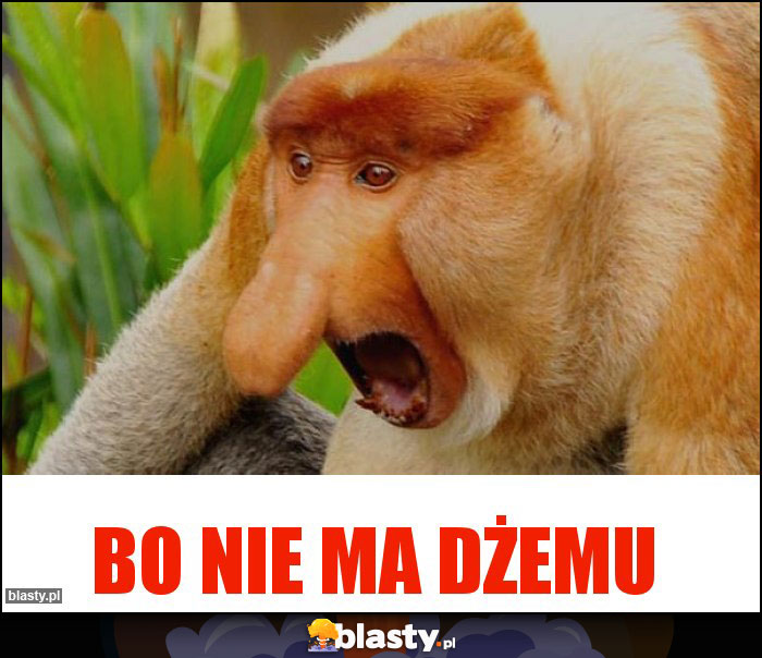 BO NIE MA DŻEMU BO NIE MA DŻEMU
