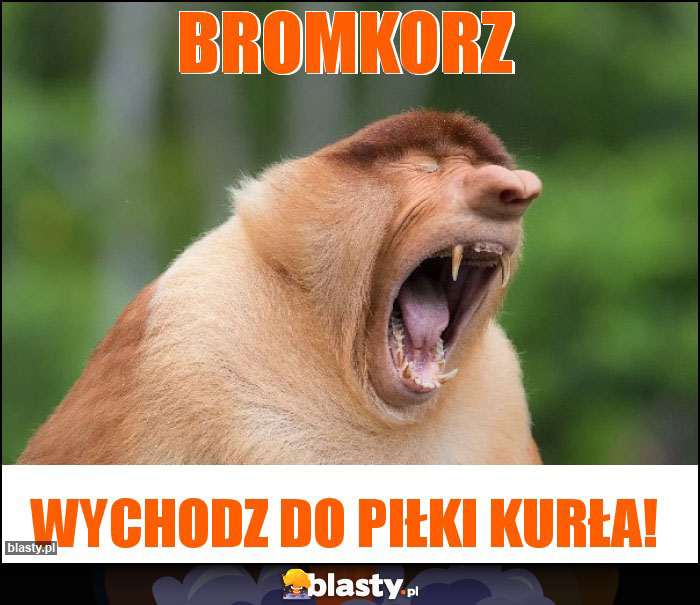 Bromkorz
