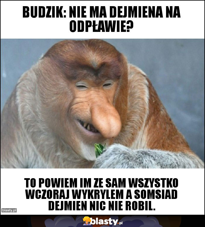 Budzik: Nie ma Dejmiena na odpławie? Budzik: Nie ma Dejmiena na odpławie?