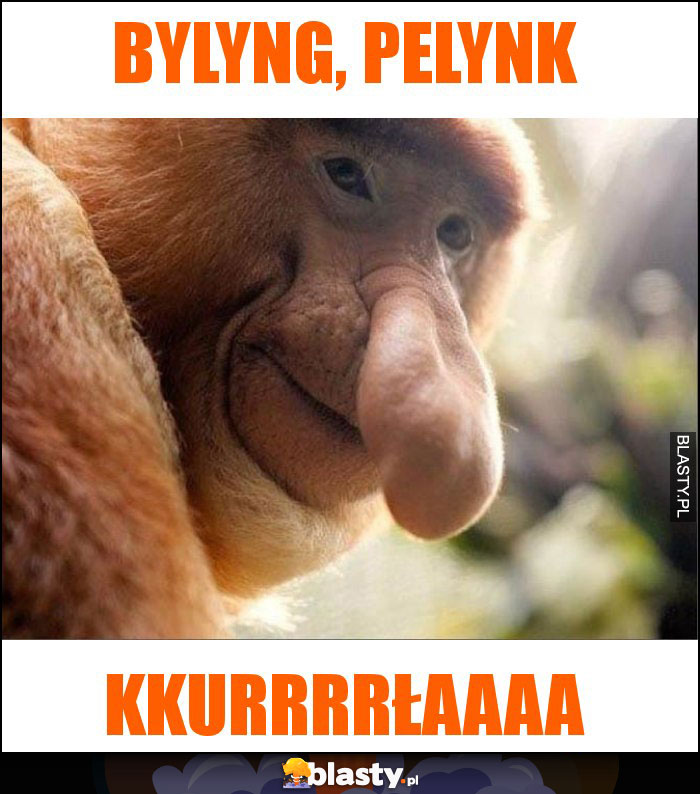 bylyng, pelynk bylyng, pelynk