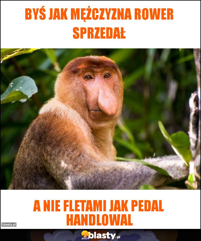 Byś jak mężczyzna rower sprzedał Byś jak mężczyzna rower sprzedał