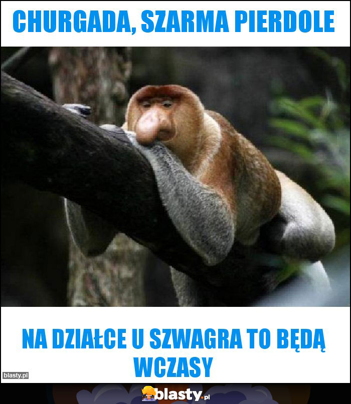CHURGADA, SZARMA PIERDOLE CHURGADA, SZARMA PIERDOLE