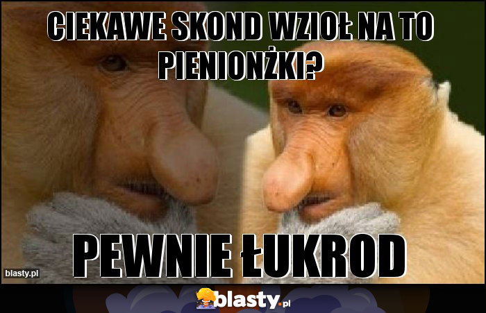 Ciekawe skond wzioł na to pienionżki? Ciekawe skond wzioł na to pienionżki?