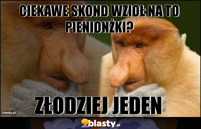 Ciekawe skond wzioł na to pienionżki? Ciekawe skond wzioł na to pienionżki?