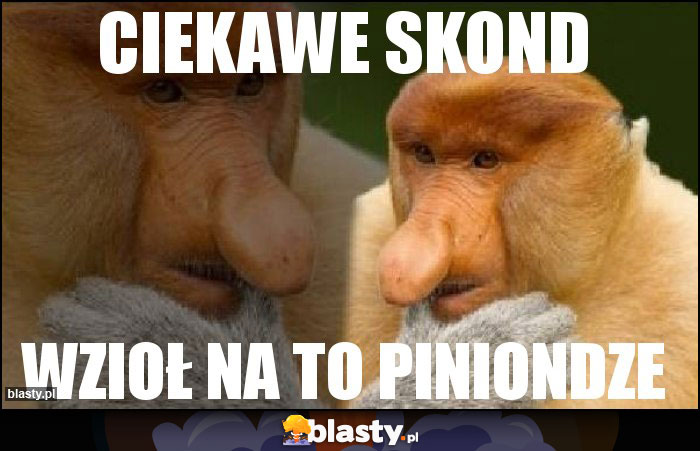 ciekawe skond ciekawe skond