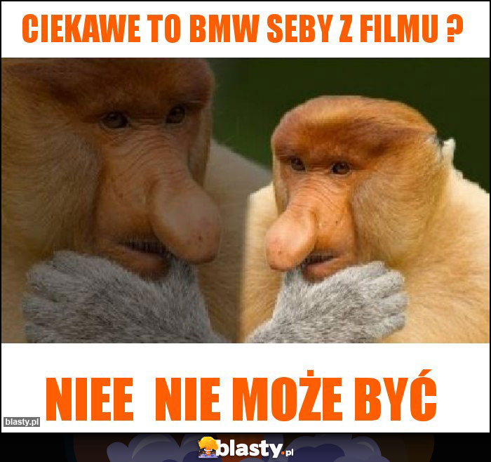 Ciekawe to bmw Seby z filmu ? Ciekawe to bmw Seby z filmu ?