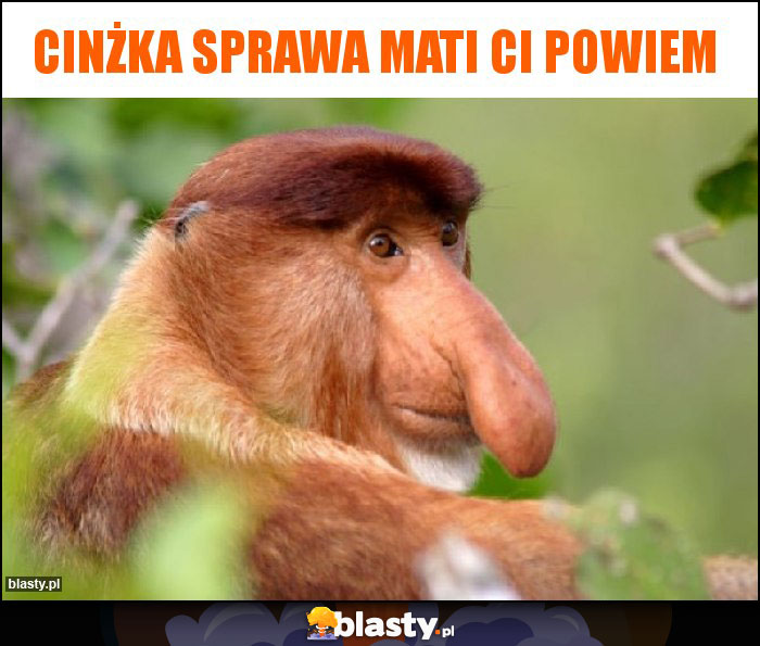 CINżka SPrawa Mati ci powiem CINżka SPrawa Mati ci powiem