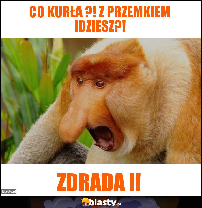 Co kurła ?! Z Przemkiem idziesz?! Co kurła ?! Z Przemkiem idziesz?!