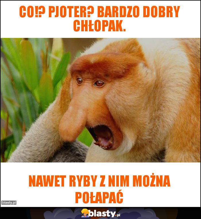 Co!? Pjoter? Bardzo dobry chłopak.