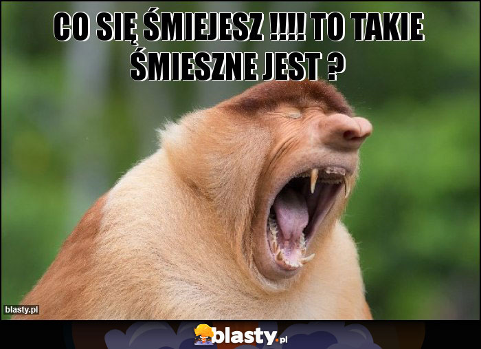 CO się śmiejesz !!!! To takie śmieszne jest ?