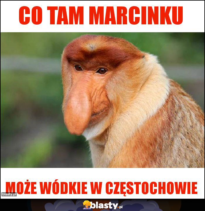 Co tam Marcinku Co tam Marcinku