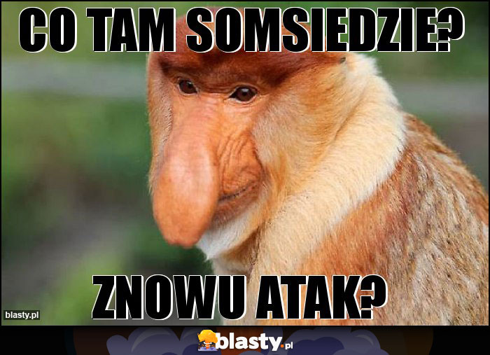 Co tam somsiedzie? Co tam somsiedzie?