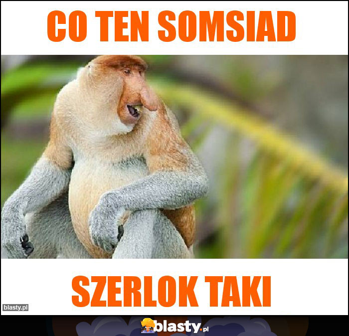 Co Ten Somsiad Co Ten Somsiad